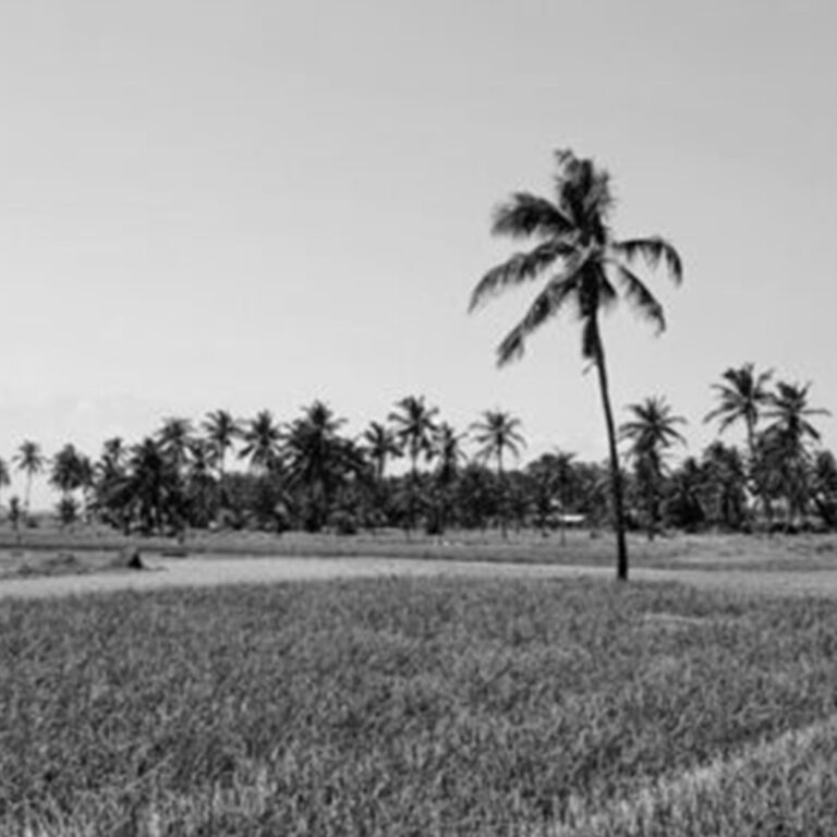 Ghana signs climate protection agreement with Switzerland